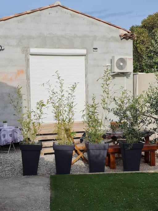 Appartement 53 M² - Pignans Au Coeur Du Var Esterno foto